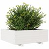 vidaXL Garden Planter White Solid Pine Wood Large Decorative Inlays
