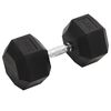 vidaXL Dumbbell 66.1 lb Cast Iron