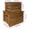 vidaXL Storage Crate Natural Mahogany Solid mahogany wood