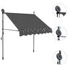 vidaXL Retractable Awning Anthracite Polyester Small Retractable
