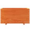 vidaXL Garden Planter Wax Brown Solid Pine Wood Large Decorative Inlays