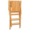 vidaXL Folding Garden Chair Set of 2 Teak Solid teak wood