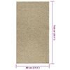 vidaXL Rug Beige 100% Polypropylene 31.5 x 59.1 in Durable Rug