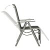 vidaXL Garden Chair Set of 2 Black and Silver Powder-coated aluminum