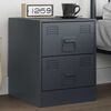 vidaXL Bedside Cabinet Anthracite Steel Bedside Cabinet Rectangular