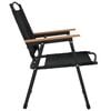 vidaXL Camping Chair Set of 2 Black