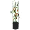 vidaXL Tomato Cage Set of 8 Green and Black Steel with PE coating, PP