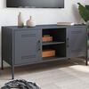 vidaXL TV Cabinet Anthracite Steel Small Industrial TV Cabinet