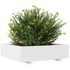 vidaXL Garden Planter White Solid pinewood Large Durable