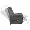 vidaXL Power Lift Chair Light Grey 100% Polyester, Plywood, Iron Standard
