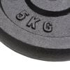 vidaXL Weight Plates 4 pcs 4x11.0 lb Cast Iron