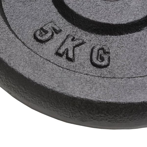 vidaXL Weight Plates 4 pcs 4x11.0 lb Cast Iron