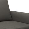 vidaXL 2-seater Sofa Dark Grey Velvet (100% polyester), metal, plywood