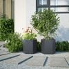vidaXL Garden Planter Set of 2 Anthracite Steel Large Garden Planter
