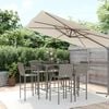 vidaXL Garden Bar Set Grey, Black