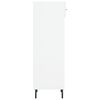 vidaXL Shoe Cabinet White Engineered Wood, Iron, Aluminum Compact