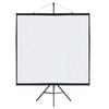vidaXL Projection Screen with Tripod 81 Inch 1:1