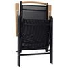 vidaXL Garden Chair Set of 6 Black Plywood Standard Foldable