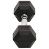 vidaXL Dumbbells 2 pcs 22.0 lb Total Cast Iron