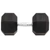 vidaXL Dumbbell 66.1 lb Cast Iron