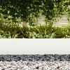 vidaXL Lawn Edging 50 pcs White 100 x 0.05 x 20 cm Cold Rolled Steel