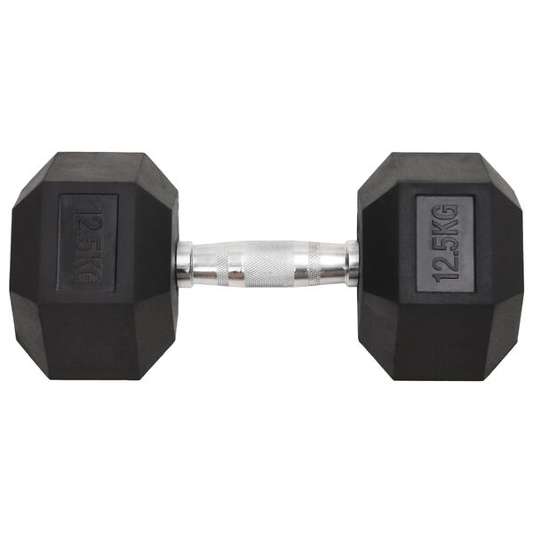 vidaXL Dumbbells 2 pcs 55.1 lb Total Cast Iron