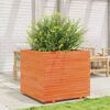 vidaXL Garden Planter Wax Brown Solid Pine Wood 31.5 x 31.5 x 28.3 in
