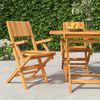 vidaXL Folding Garden Chair Set of 2 Teak Solid teak wood