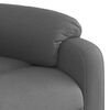 vidaXL Electric Stand Up Massage Recliner Chair Dark Gray