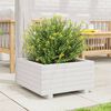 vidaXL Patio Planter White 19.7x19.7x10.4" Solid Wood Pine