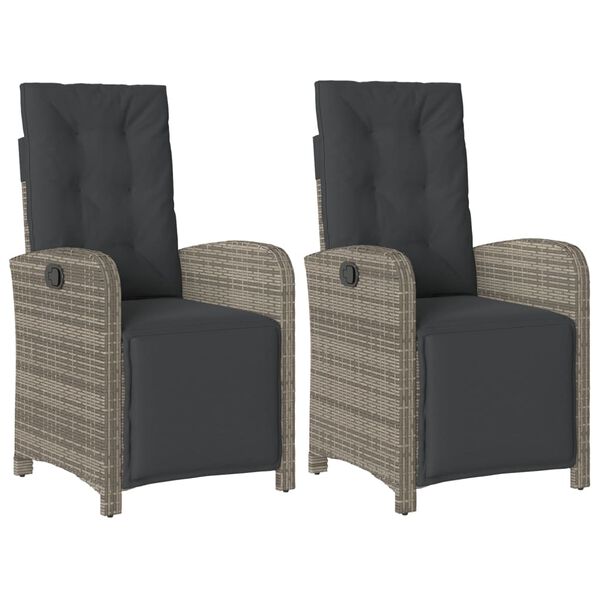vidaXL Reclining Garden Chair Set of 2 Grey, Dark Grey PE Rattan Medium