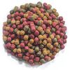 Ubbink Fish Food Multicolor red, yellow, and green Fish meal, insect flour