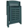 vidaXL Sun Lounger Green Plastic Standard Foldable Sun Lounger