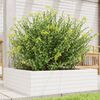 vidaXL Garden Planter White Solid pinewood Medium Decorative Inlays