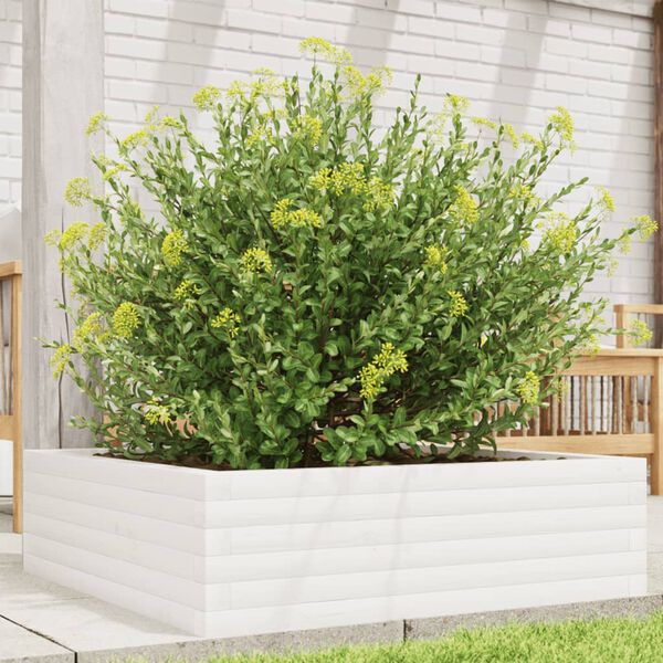 vidaXL Garden Planter White Solid pinewood Medium Decorative Inlays
