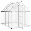 vidaXL Greenhouse Silver and Transparent Aluminum, Polycarbonate Large