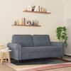 vidaXL 2-seater Sofa Dark Gray Velvet (100% polyester), Metal, Foam