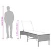 vidaXL Sun Lounger with Cushion Brown 55x200x44cm Poly Rattan
