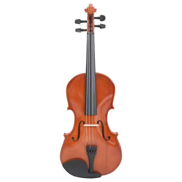 vidaXL Violin Full Set with Bow and Chin Rest Dark Wood 4/4