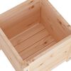 vidaXL Planter Set of 2 Natural Wood Solid Pinewood Medium Planters