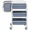 vidaXL Kitchen Cart with Plastic Containers 32.3x17.1x36.6"