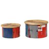 vidaXL Coffee Table Set of 2 Multicolor Solid mango wood, old tin sheet