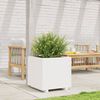 vidaXL Garden Planter White Solid pinewood 19.7x19.7x19.5 in Durable