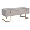 vidaXL Bench Gray 100% Polyester Velvet 41.3 in Storage Bench