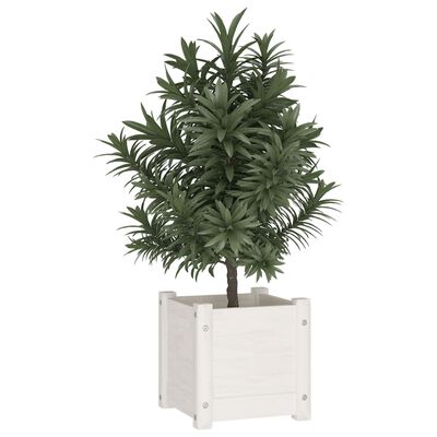 vidaXL Garden Planter White 12.2"x12.2"x12.2" Solid Wood Pine