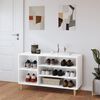 vidaXL Shoe Cabinet High gloss white Engineered wood, solid eucalyptus wood