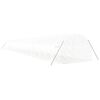 vidaXL Greenhouse White PE (Polyethylene), galvanized steel 72 sq ft