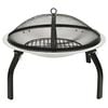 vidaXL 2-in-1 Fire Pit and BBQ with Poker 22"x22"x19.3" Stainless Steel