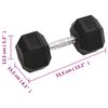 vidaXL Dumbbells 2 pcs 66.1 lb Total Cast Iron