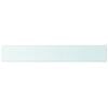 vidaXL Glass Panel Clear Tempered glass 39.4 x 5.9 in Durable